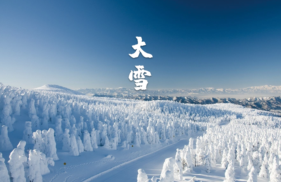 大雪节气的诗词歌赋