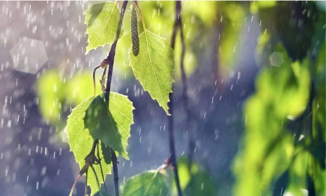 《春夜喜雨》 古诗原文及翻译