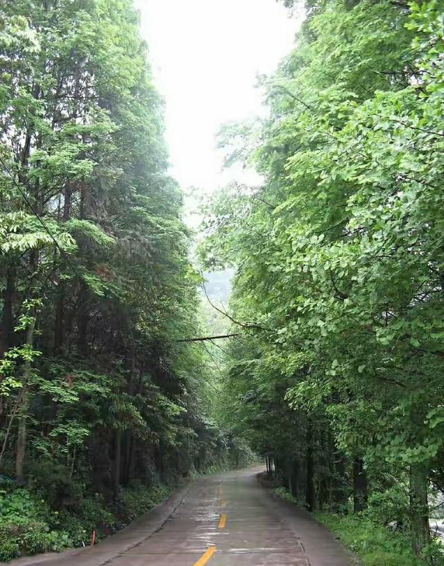 古诗《西江月·夜行黄沙道中》原文、注释、翻译、赏析