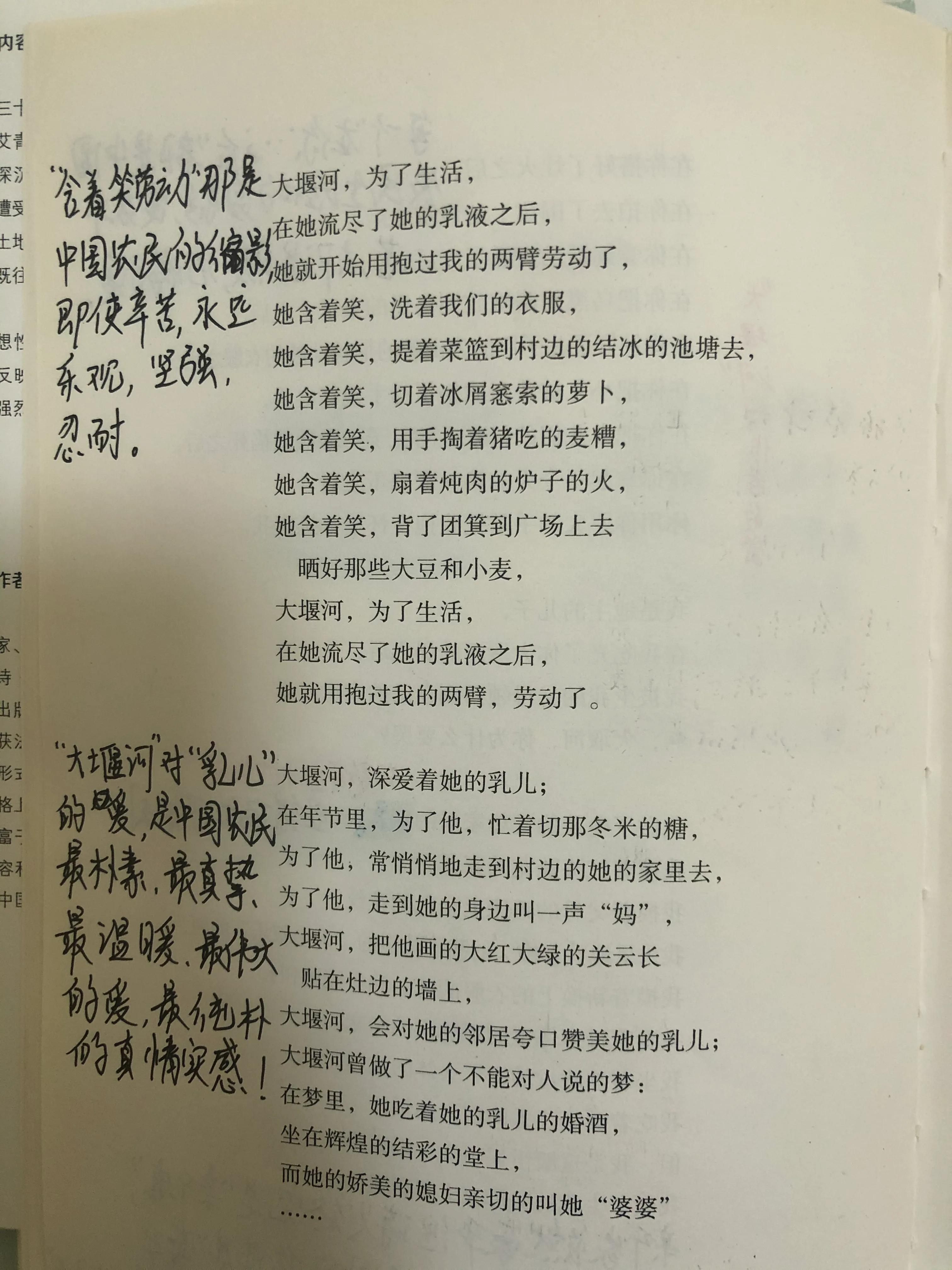 《艾青诗选》中的《大堰河我的保姆》