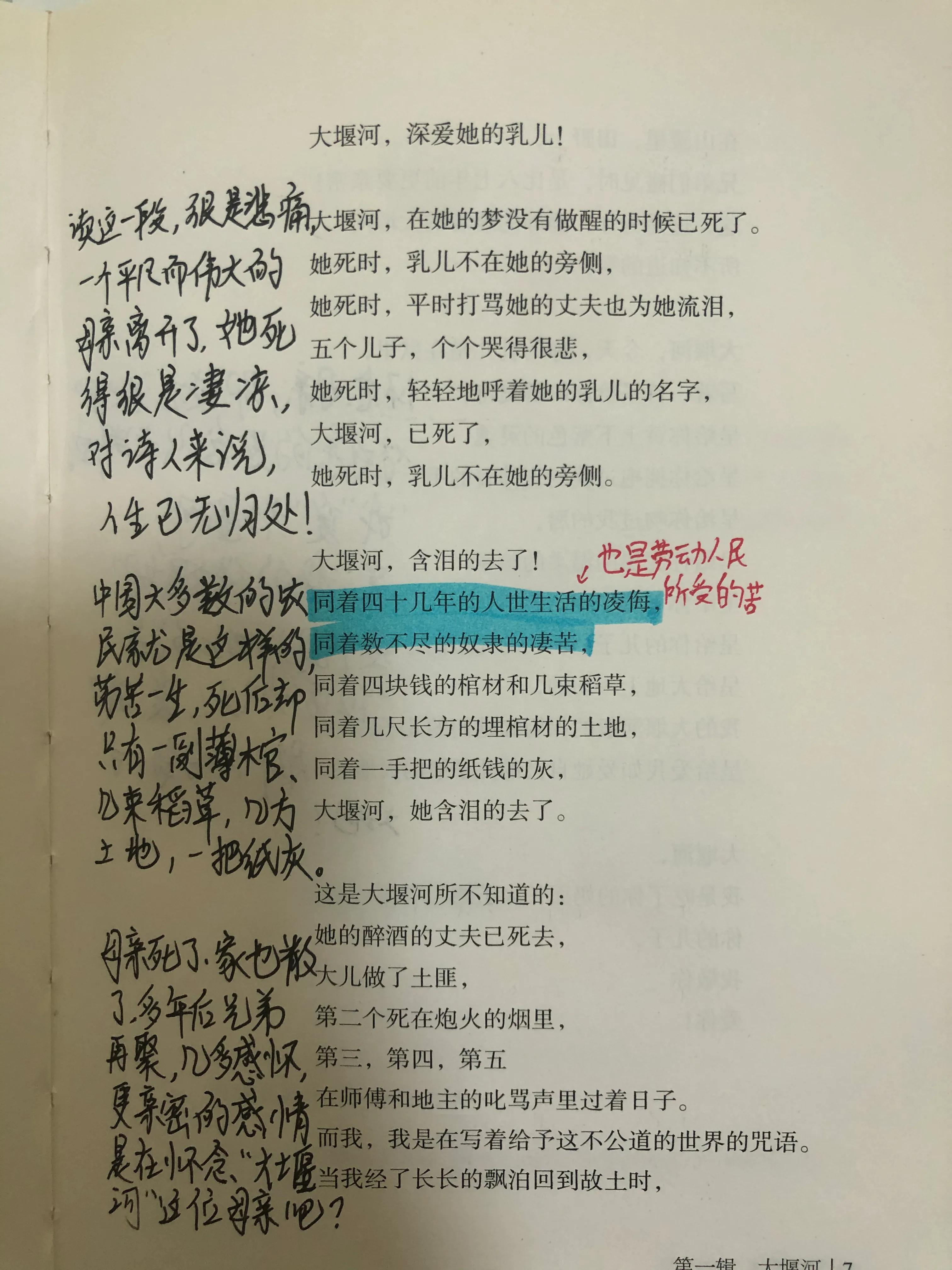 《艾青诗选》中的《大堰河我的保姆》