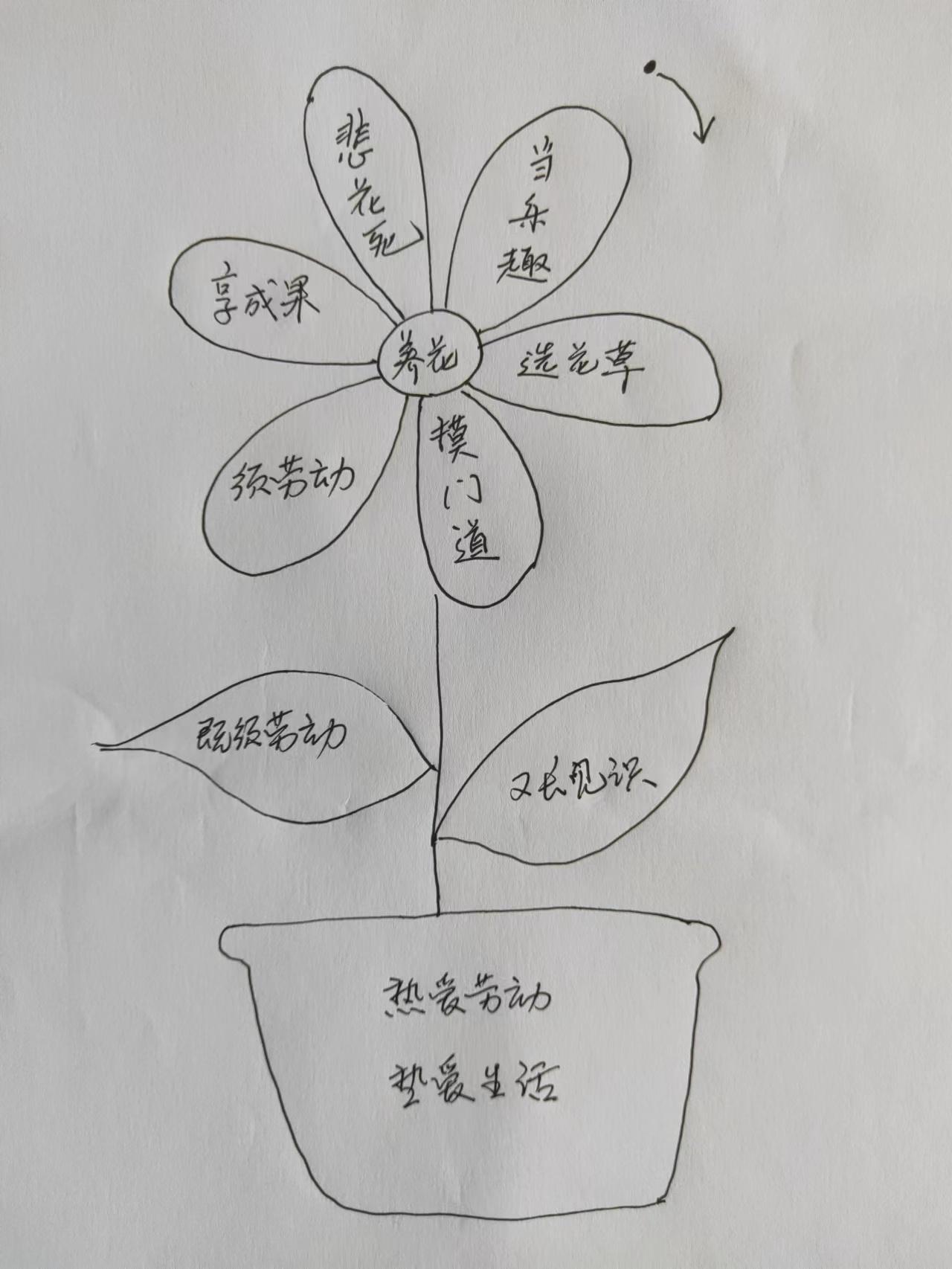 老舍的养花课文分析