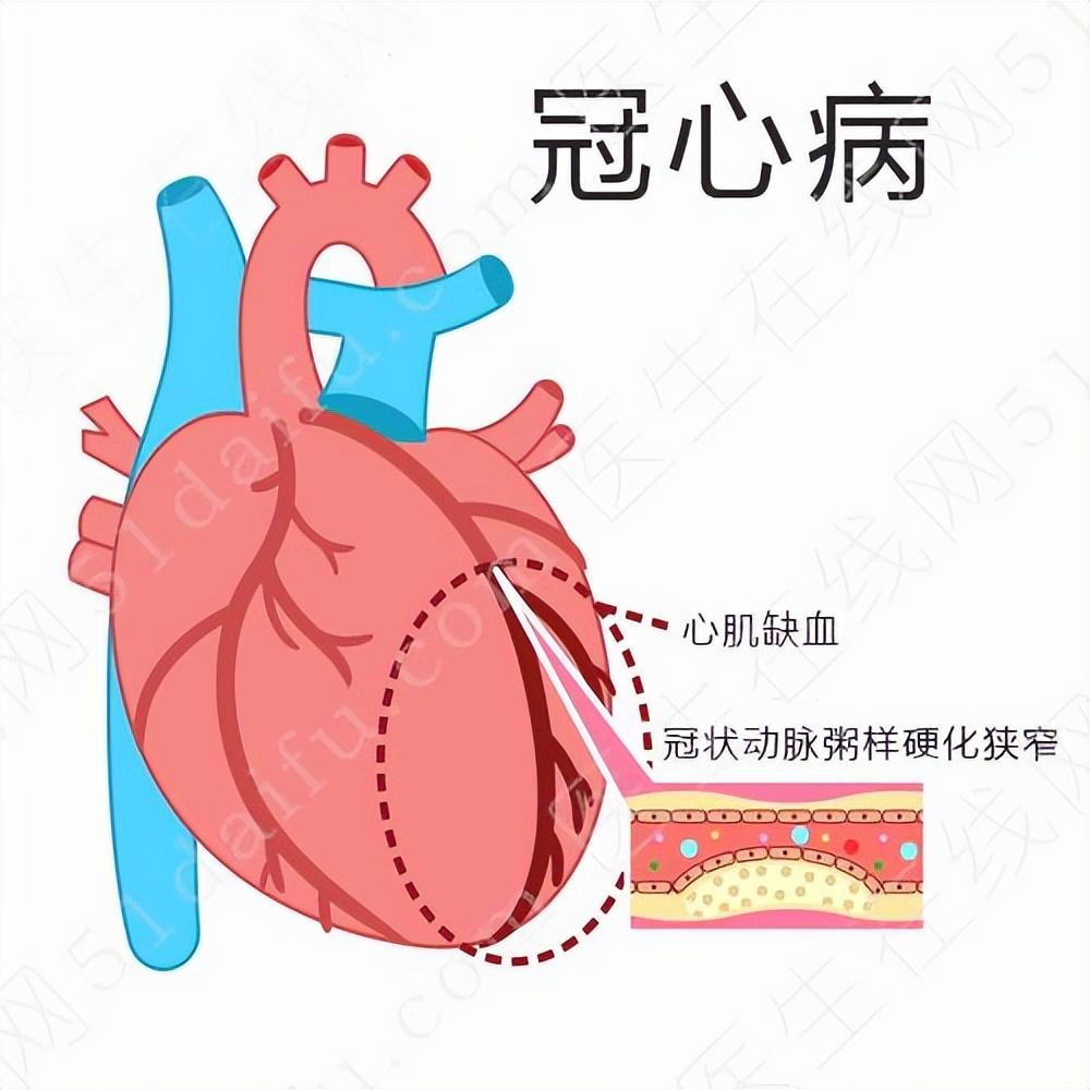 网红飞飞一杯酒去世