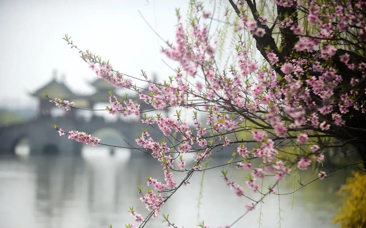 描写春雨的的诗句