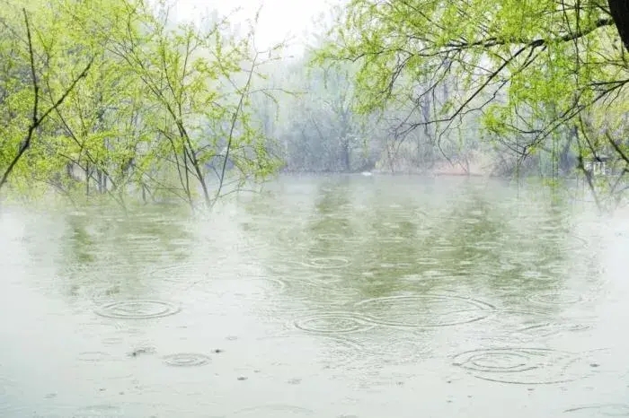 描写春雨的的诗句