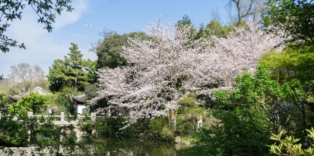 感叹时光流逝的唯美古诗词