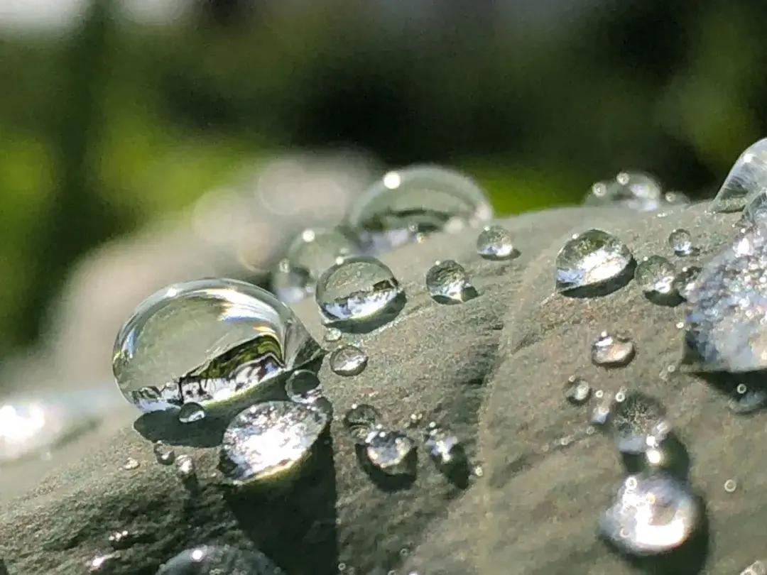 写雨的诗词佳句