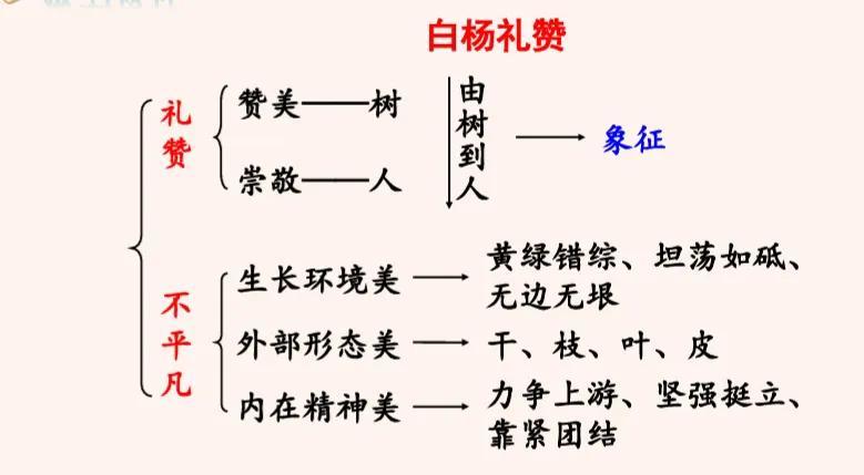 初二语文15课白杨礼赞笔记