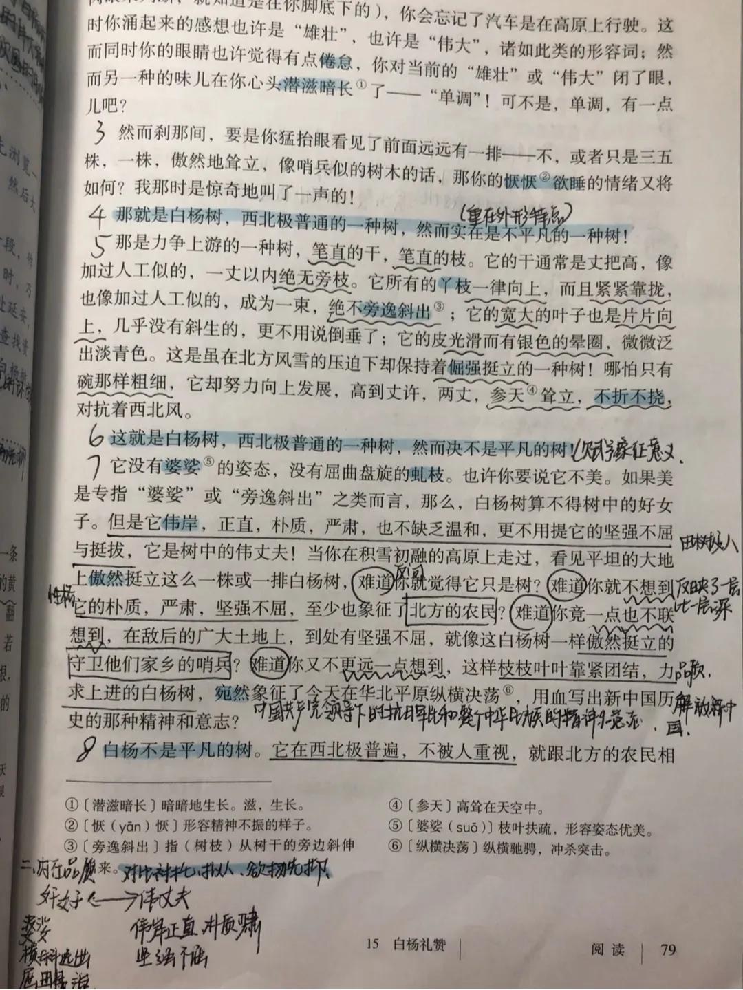 初二语文15课白杨礼赞笔记