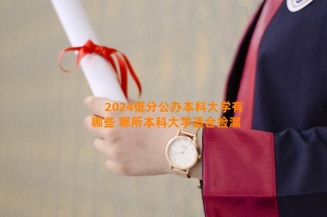 2024低分公办本科大学有哪些 哪所本科大学适合捡漏