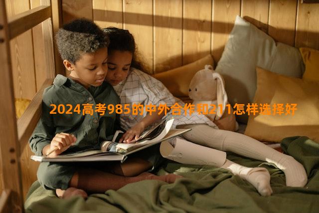 2024高考985的中外合作和211怎样选择好