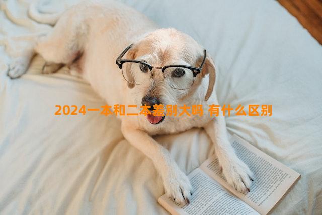 2024一本和二本差别大吗 有什么区别