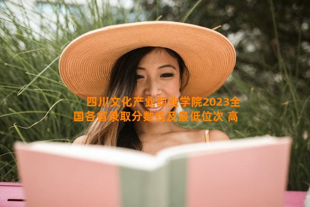 四川文化产业职业学院2023全国各省录取分数线及最低位次 高考多少分能上