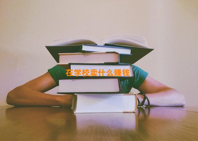 在学校卖什么赚钱