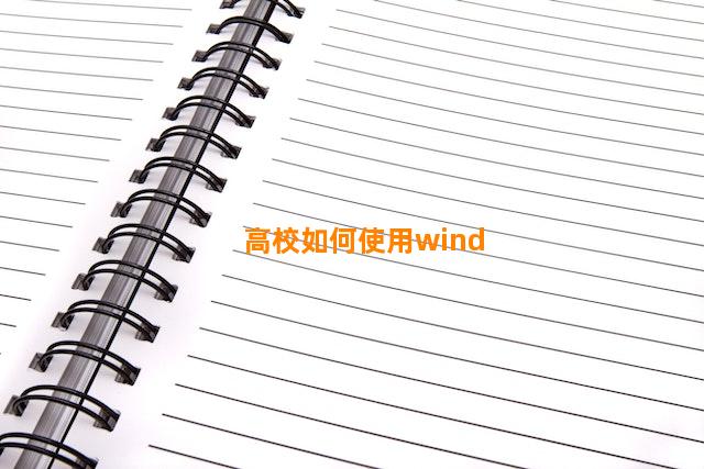 高校如何使用wind