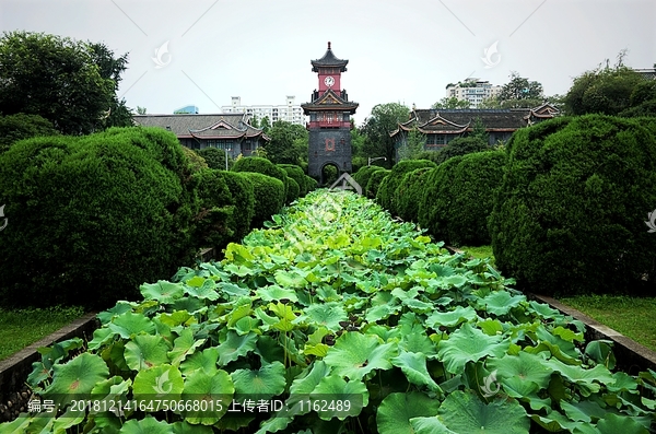 川大华西校区环境如何