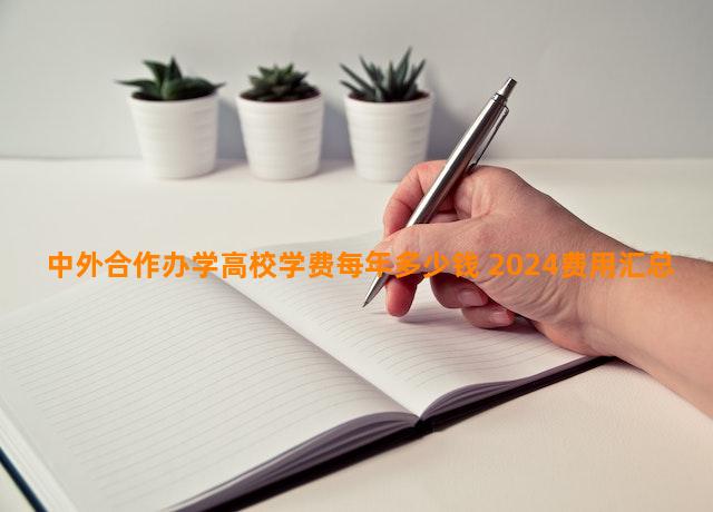 中外合作办学高校学费每年多少钱 2024费用汇总