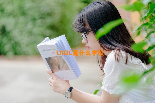 UIUC是什么学校