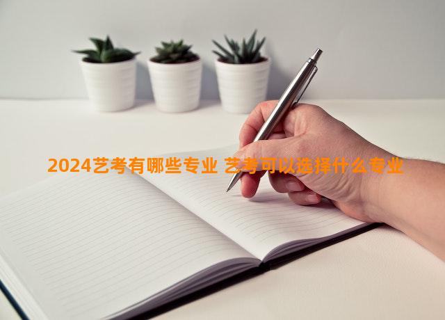 2024艺考有哪些专业 艺考可以选择什么专业