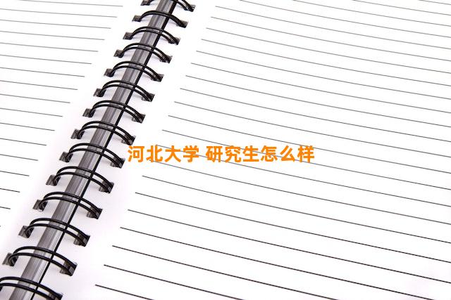 河北大学 研究生怎么样