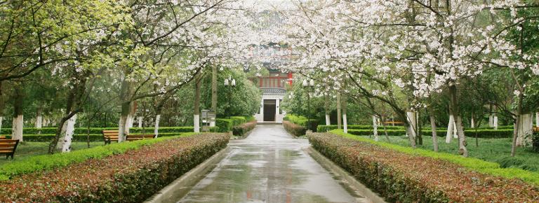 南京大学什么样