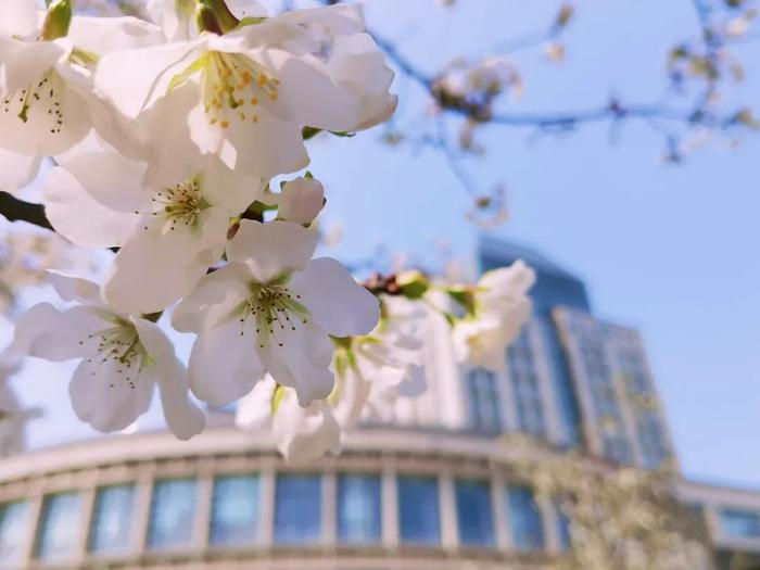 江南大学哪里景色好