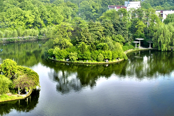 南充龙井湖在哪里