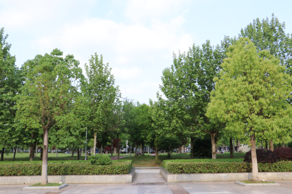 江南大学建筑怎么样