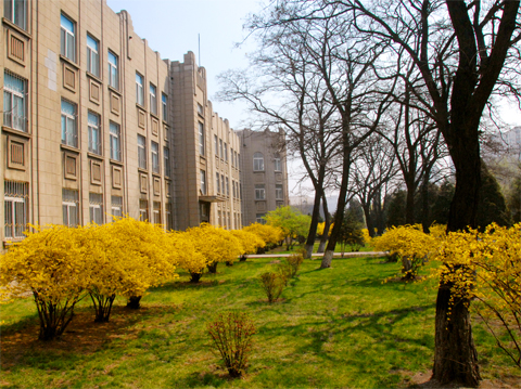 沈阳著名大学有哪些地方