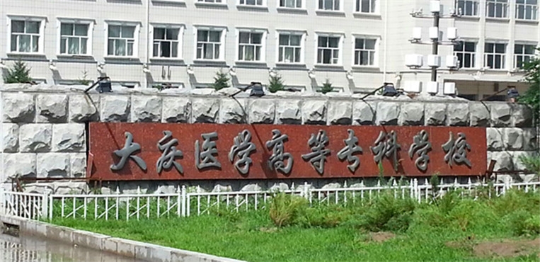 黑龙江大庆大学有哪些