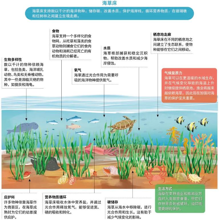 海洋物理学有哪些应用