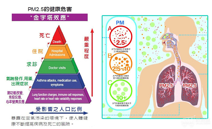 细颗粒物有哪些效应