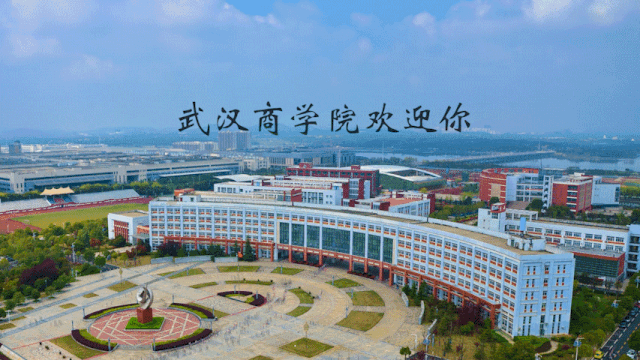 武汉商学院艺术怎么样