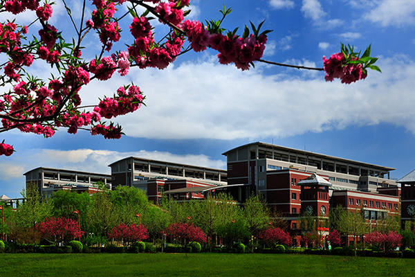 河北的著名大学有哪些地方