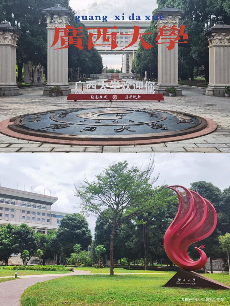 广西省区内的大学有哪些