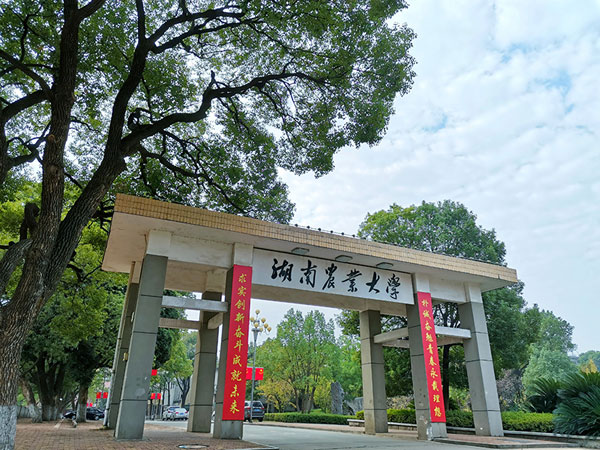 杨毅上的哪个大学