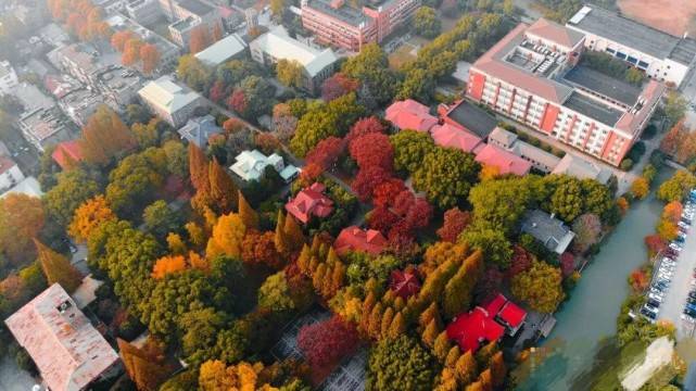 苏州大学院校有哪些专业