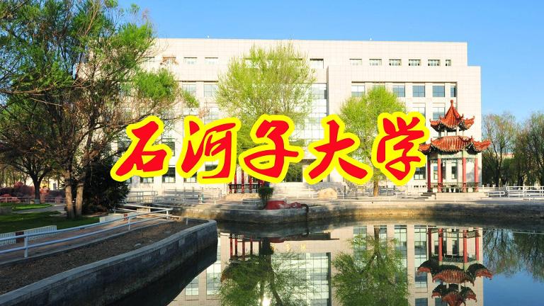 新疆省的市有哪些大学