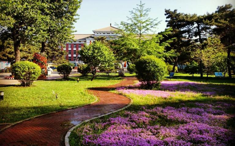 沈阳药科大学多少