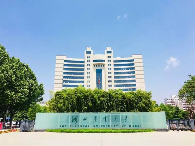 河北农业大学专业在哪个校区