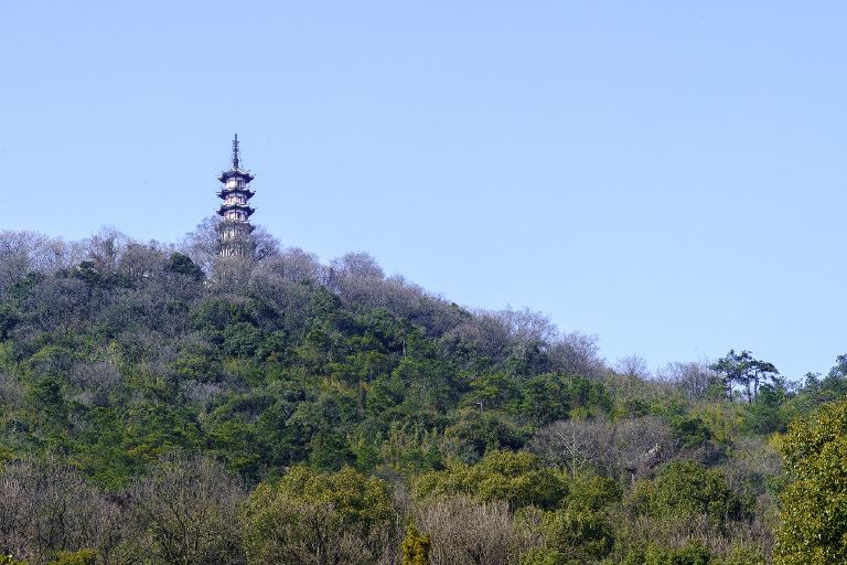 游道场山何山多少字