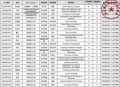 csc学号是什么