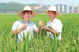 川大江文清如何