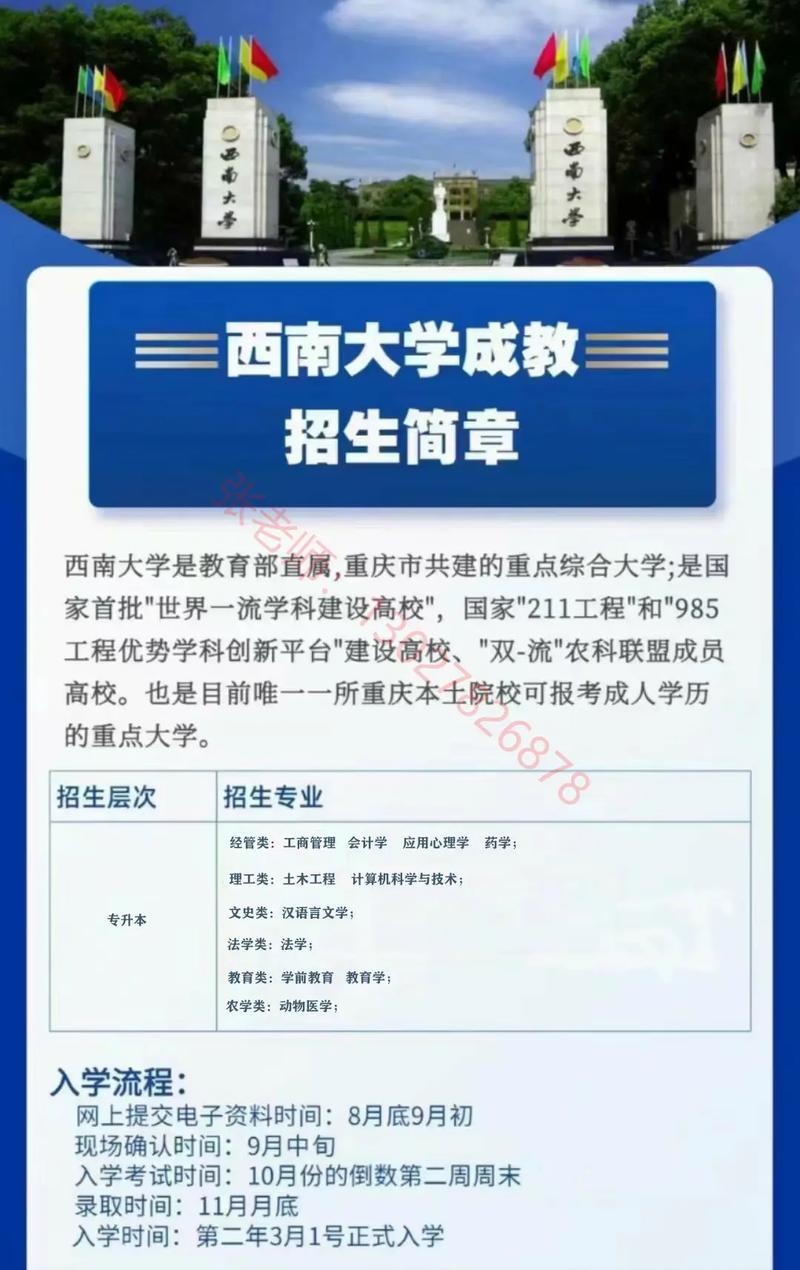 大学什么招生