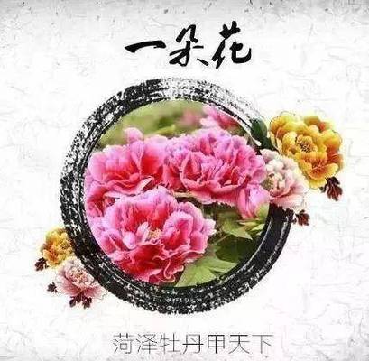 菏泽有什么