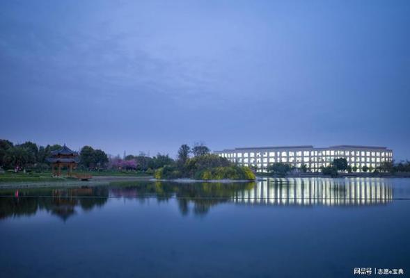 电子科技大学 如何