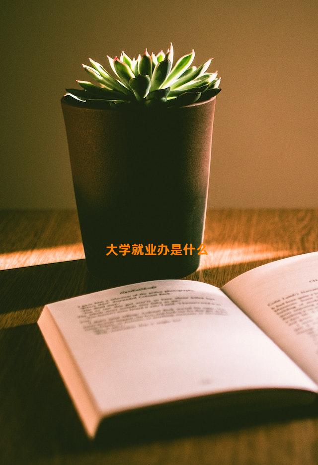 大学就业办是什么