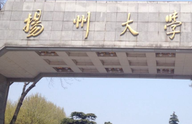 杨州大学什么专业较好