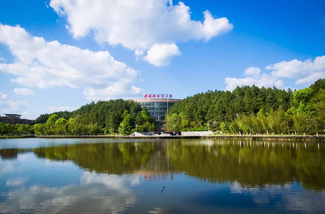 景德镇是什么大学