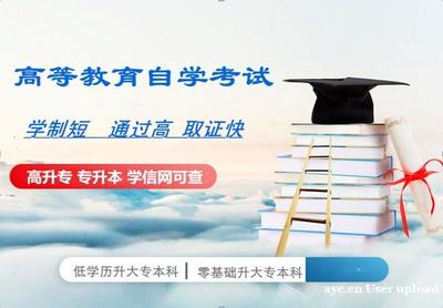 大专和大学有什么不同